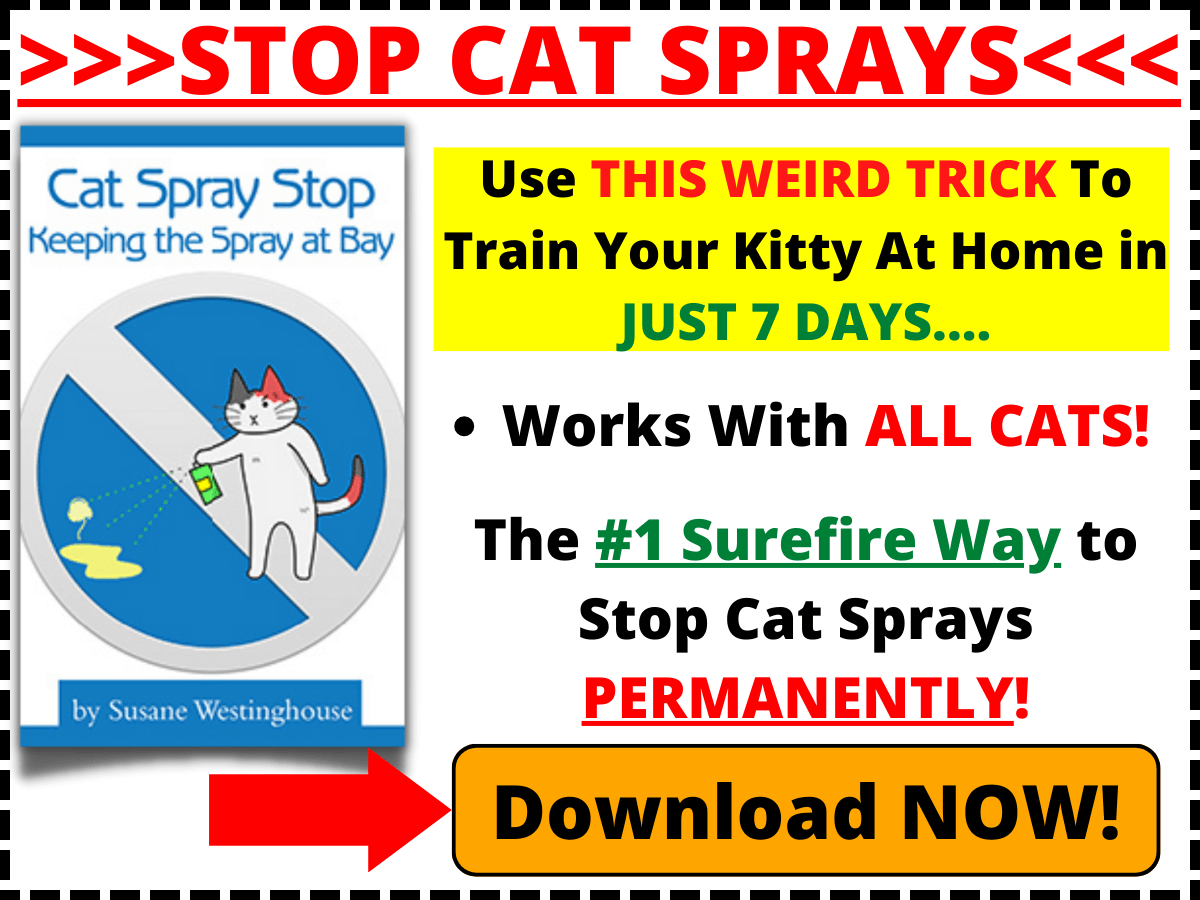 Cat Spray Stop